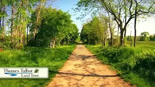 Hawk Cliff - Rogers tv's Canada Showcase | Rogers tv