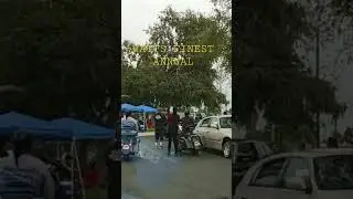 Ted Watkins Park 🏞 Watts Finest Annual