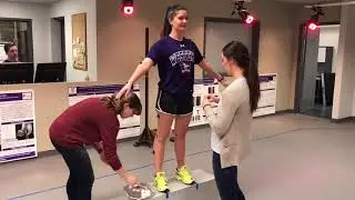 Wolf Orthopaedic Biomechanics Laboratory (Western)