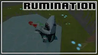 Rumination Analysis on Hedon Bloodrite