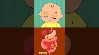 🥦Good food vs Bad food 🍕 #learn #shorts #cartoon #animation #shorts #memes