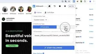 How to mass Auto Follow Custom Users on Instagram? - IG Growth