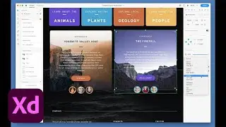 Blend Modes – Adobe XD October Release 2019 | Adobe Creative Cloud
