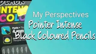 My Perspectives on Pointer Black Intense Coloured Pencils