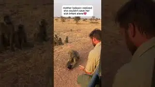 Самый сильный, отчаянный акт любви, который вы когда-либо увидите. #МатеринскаяЛюбовь #ЖивотныйИн...