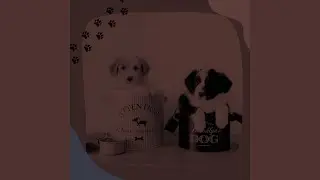 Smart Bossa Nova - Vibe for Family Dogs