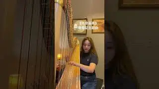 《天命最高》 尋秦記主題曲 harp cover