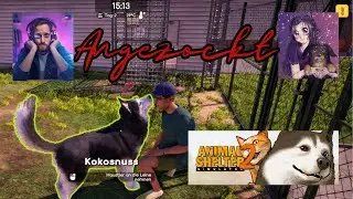 Animal Shelter 2 / Scum mit Sandmann