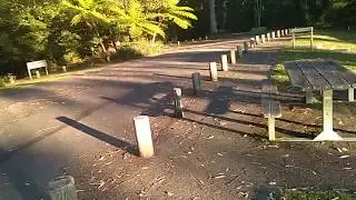 Laurieton Yowie Bigfoot Hairyman Search