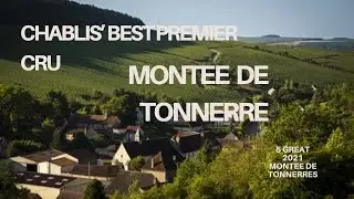 Chablis greatness!- A 2021 tasting of the legendary Montee de Tonnerre vineyard