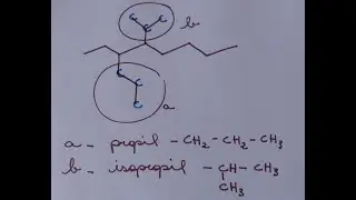 Aula n. 08 - Ramifica&ccedil;&otilde;es propil e isopropil