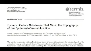 Mimicking the Topography of the Epidermal–Dermal Junction