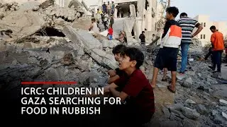 ICRC: Children in Gaza searching for food in rubbish