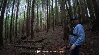 Bigfoot at the coastal range (Turkey tail ) last game cam found! Walking in the PNW wonderland