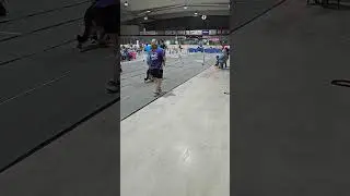 6/2/24 Race 47- Rapids Intense-A-Flyers & Friends // Diamond Jubilee Flyball Tournament