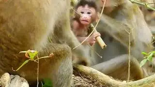 Aww So Pure! Mother Monkey&rsquo;s Endless Love for Her Baby 🥹🐒