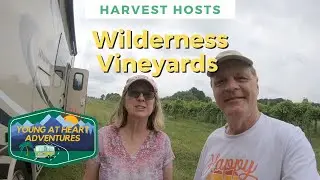 Wilderness Run Vineyards | Harvest Host