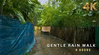 [ASMR 4K] Relaxing Gentle Rain Walk in Countryside Village | Rain Sounds for Deep Relaxation & Sleep