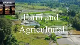 Relaxing Farm and Agricultural Video
