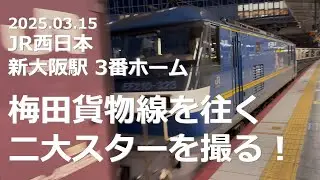 【早朝の新大阪駅】梅田貨物線を往く二大スターを撮る！【早起きは三文の得】