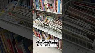This LEGO Book Was Hiding at the Thrift Store 🧱📖