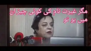 2018 PTI shereen Mizari Admitted that they've passed the bill.