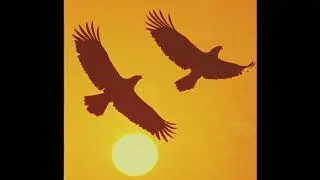 {FREE} Bossa Nova Jazz House Type Beat 