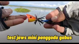 test action handmade jaws mini 2,7cm+geol 4,5 cm si penggoda gabus