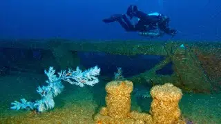 Technical Scuba Diving Exploration Ship Wreck Verdier Sydney Australia Best Dive