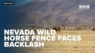 Disapproval mounts against Nevada's Virginia Range wild horse fencing project