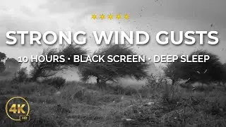 10 Hours of Strong Wind Gusts 🌬️ | Powerful Wind Ambience on Black Screen for Deep Sleep & Focus