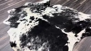 Authentic Cowhide Rug: Why Genuine Quality Makes a Difference | Rodeo Cowhide Rugs