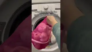 How to Wash Your Stuffed Animals | Nellie's Clean