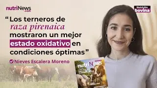 SUBNUTRICIÓN en el EQUILIBRIO PRO y ANTIOXIDANTE en TERNEROS  | nutriNews OnAir con Nieves Escalera