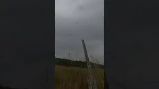 Coming in #hunting #duckhunting #birdhunt #birdhunting #goinghunting #gun #happyhunting #bird