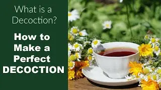 What is a Decoction, and How Do You Make One?