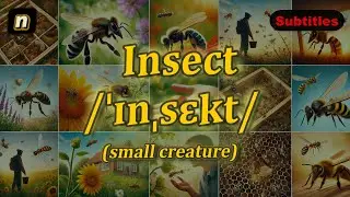 [n] Insect meaning (small creature) with 5 examples