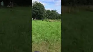 Dad fails