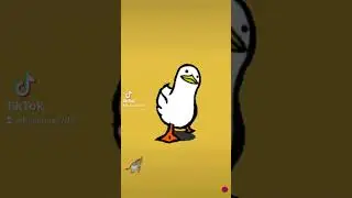 #pato #duck #color #colorido
