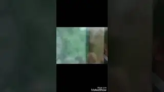 &Uuml;zuc&uuml; sahne Kemran Feride