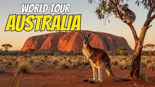 Learn Australian Animals for Kids 🦘 Habitat, Diet & Fun Facts | Wildlife World Tour  #kids