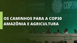 CNA debate resultados da Cop28 e os impactos para a Agricultura Amaz&ocirc;nica.