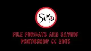 File Formats  and Saving 101