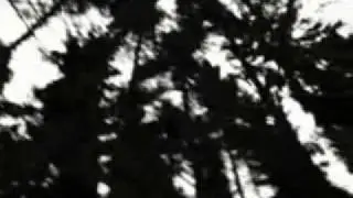 Vermis Mysteriis - Сполохи Прошлого