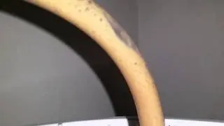 Why a blow off tube is important in homebrewing