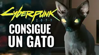 CONSIGUE UN GATO MASCOTA Y OTROS SECRETOS EN CYBERPUNK 2077