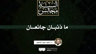 ما ذئبان جائعان | خطبة | د. أحمد عبد المنعم