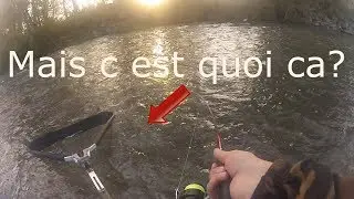 SURPRISE ! ,C EST QUOI CETTE TRUITE? A LA FAUSSE TEIGNE !