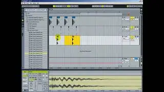 Criando um loop para iniciantes no Ableton Live