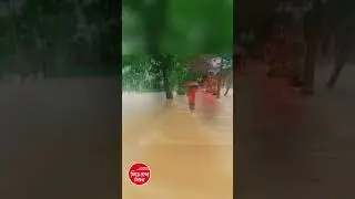 শেরপুরে আকস্মিক বন্যা: শতাধিক গ্রাম প্লাবিত, ৩ জনের মৃত্যু | Sherpur Flood Update #newsupdate